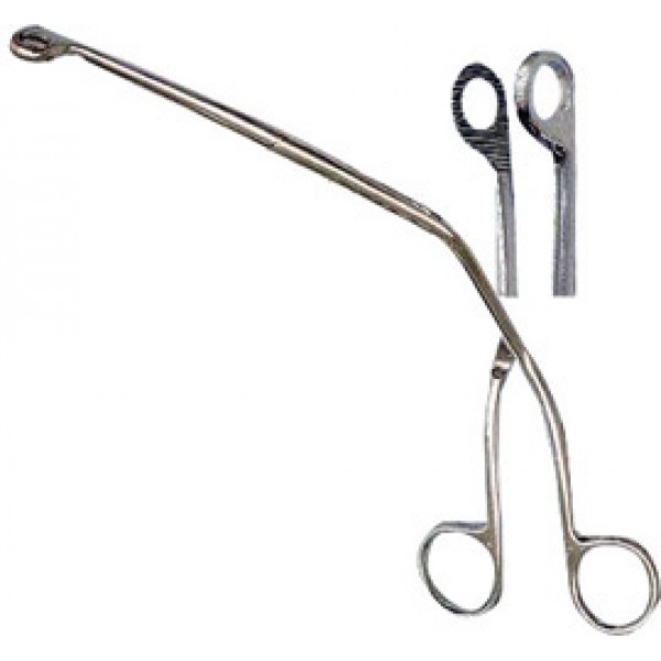 Piercing Forceps